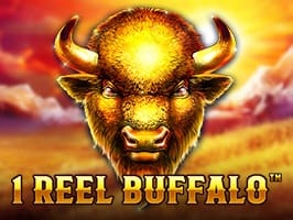1 Reel Buffalo screenshot